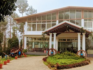 Nexstay Coffee Grove Resort in Aldur