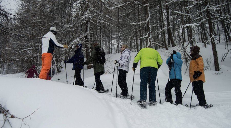 Balade en raquette
Snowshoeing