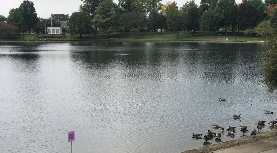 Lake Anna Park