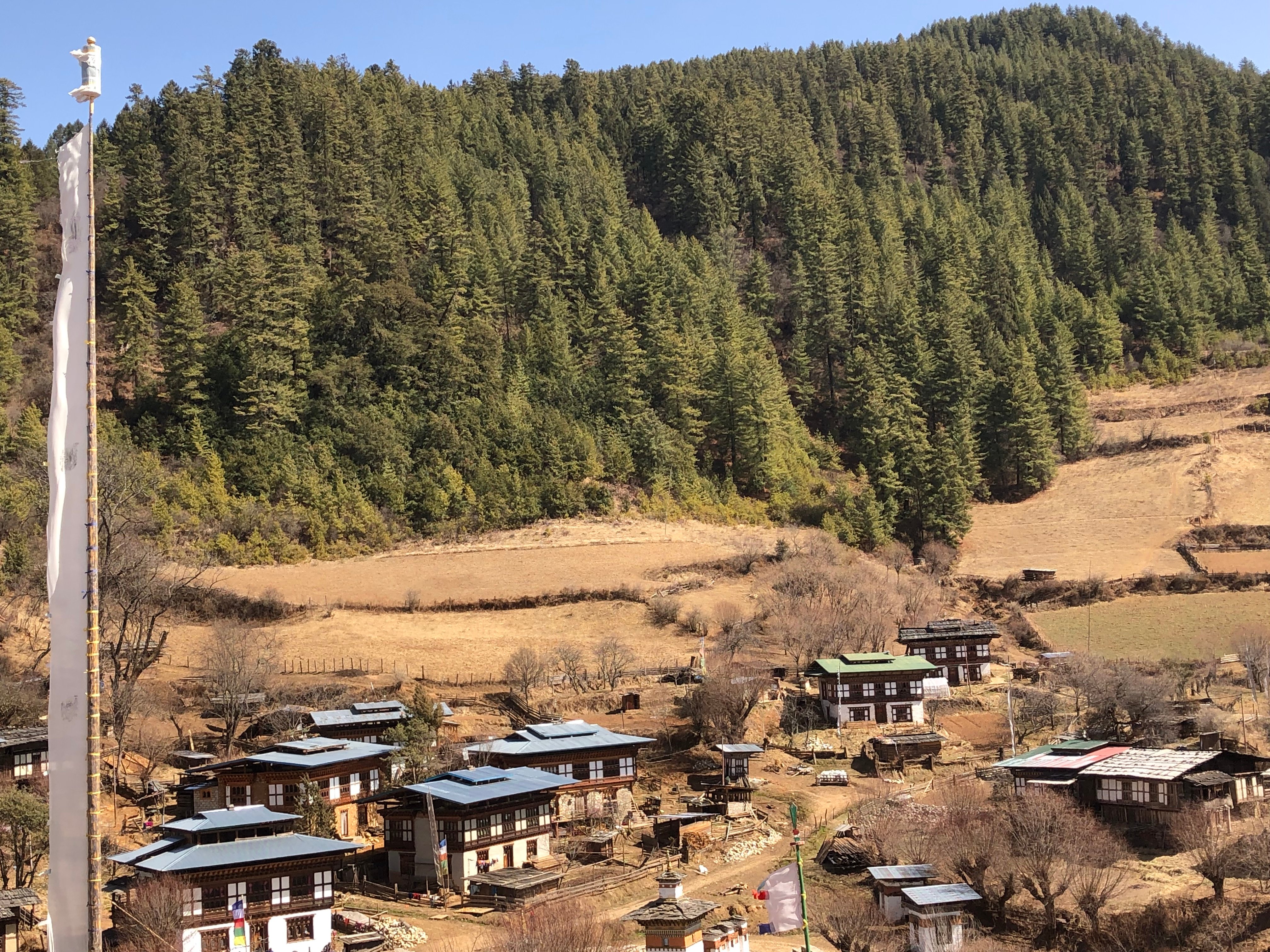 Bhutan International Travel Paro All You Need To Know BEFORE You Go   Near Bumthang 