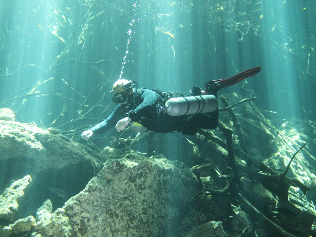 pluto dive playa del carmen