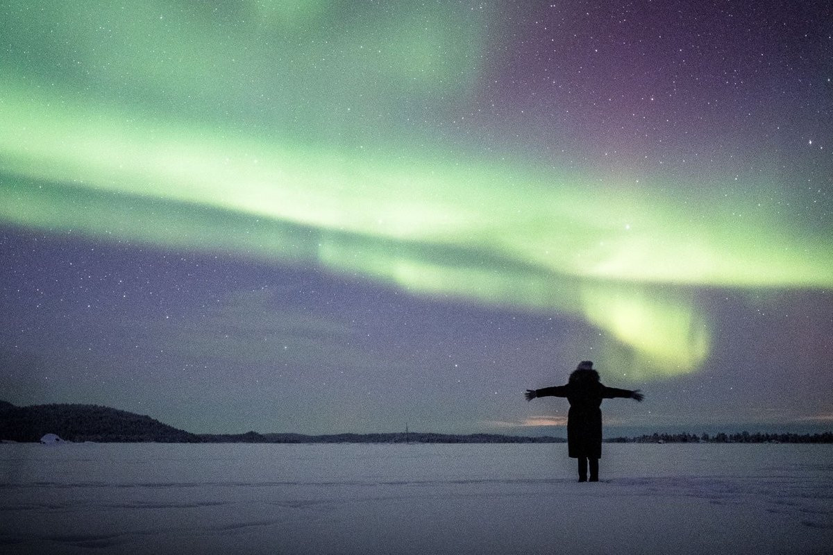 NOVO JOGO DE SOBREVIVÊNCIA NA NEVE DO ÁRTICO - NORTHERN LIGHTS 