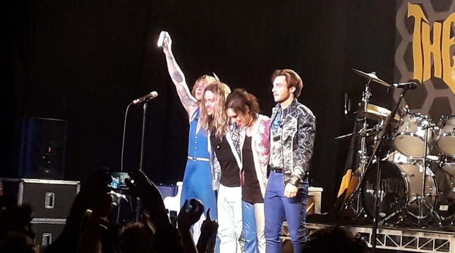 The Struts