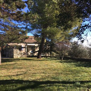 getlstd_property_photo