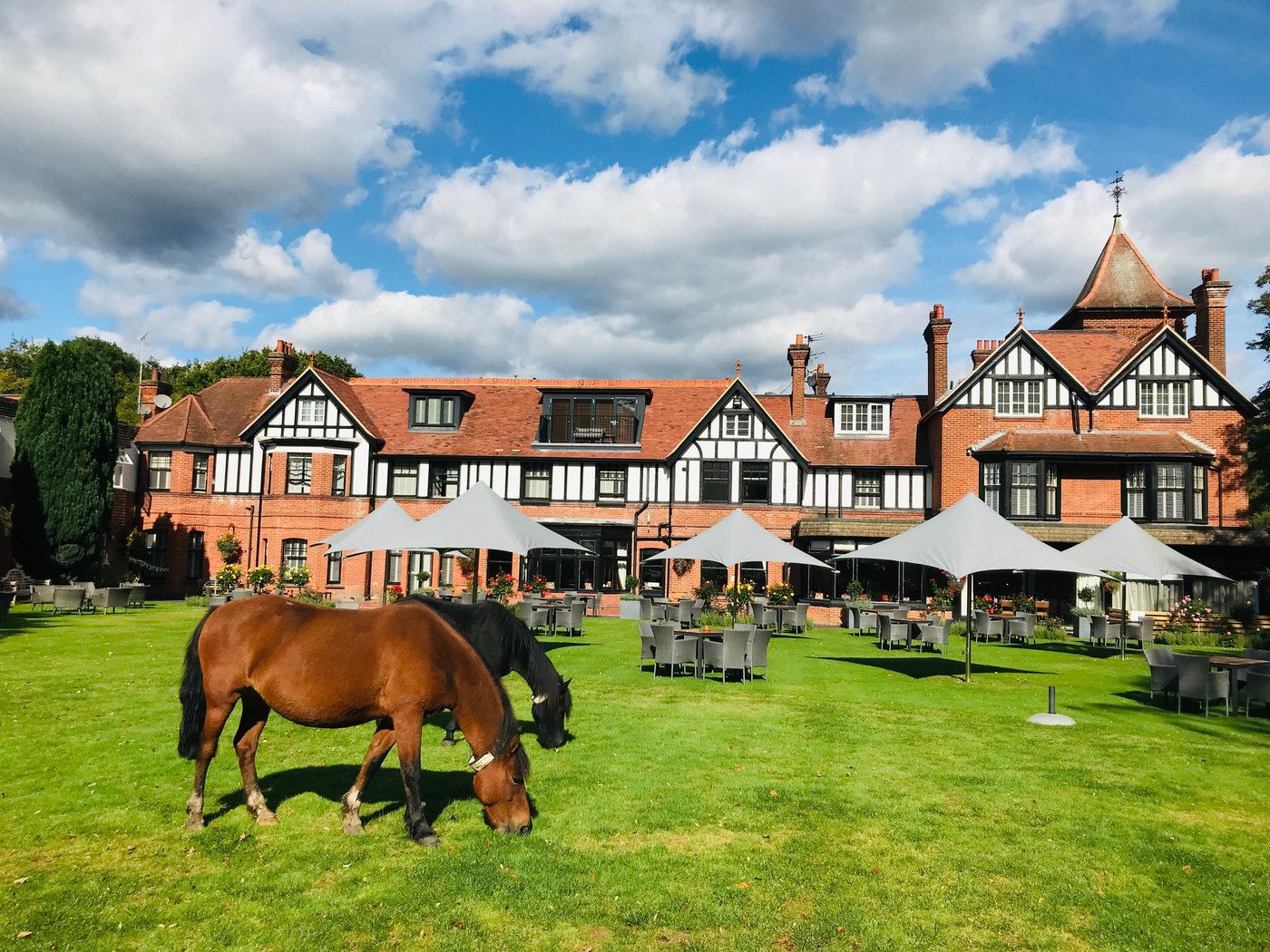 forest-park-country-hotel-inn-brockenhurst-reino-unido-873-fotos