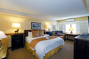 Room & Suite