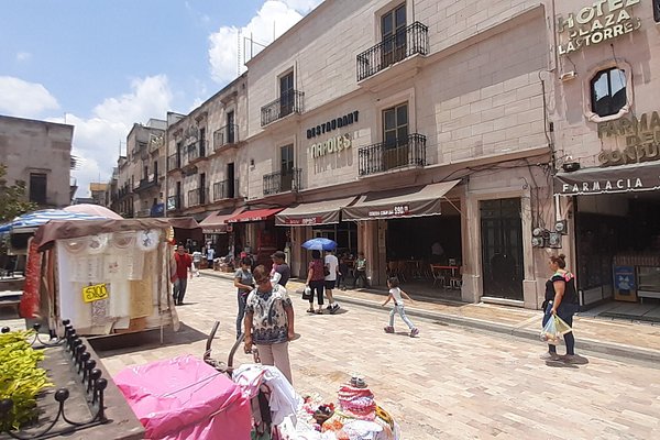 Turismo en San Miguel El Alto, México 2023: opiniones, consejos e información - Tripadvisor Turismo en San Miguel El Alto, México 2023: opiniones, consejos e información - Tripadvisor
