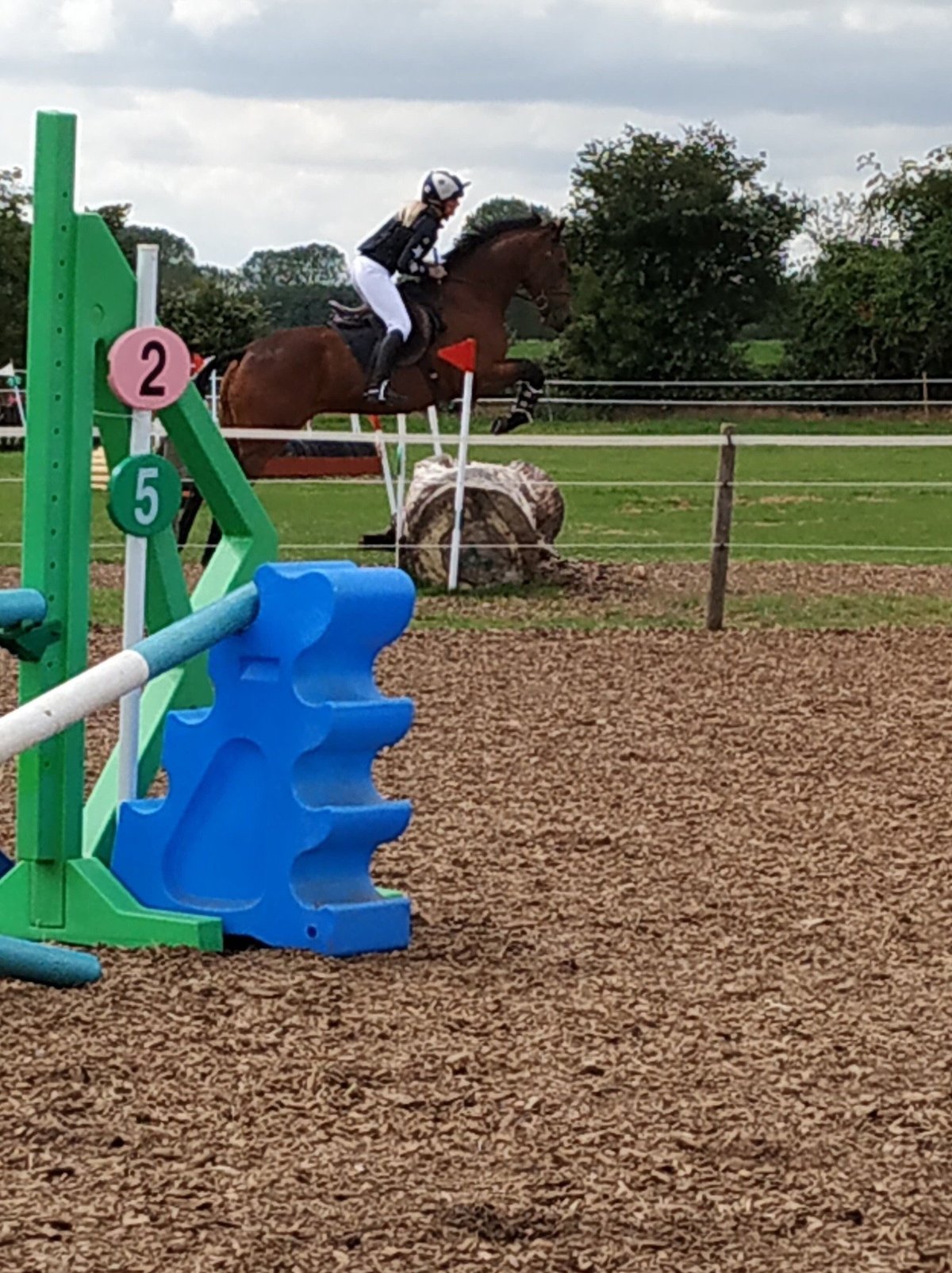 Hill Farm Stables Riding School (Elmswell): All You Need to Know