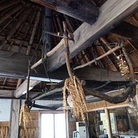展示の様子