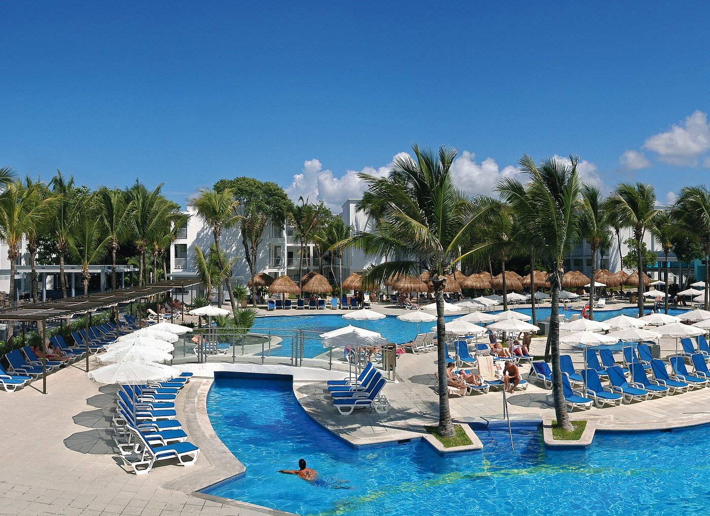 the riu playa del carmen