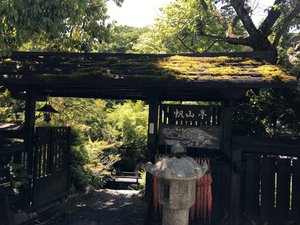旅行者の写真