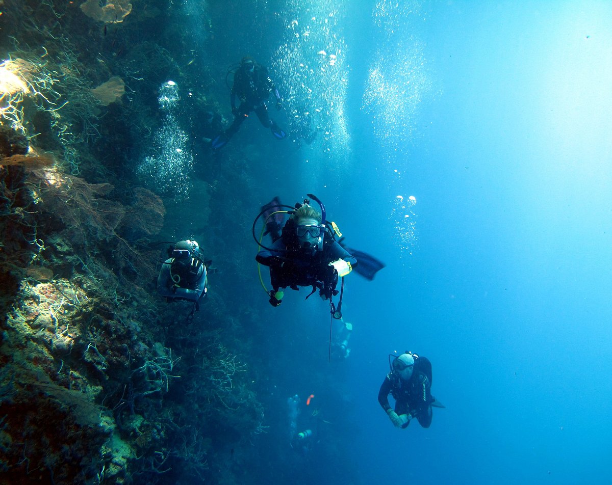 Dive Munda - All You Need to Know BEFORE You Go (with Photos)