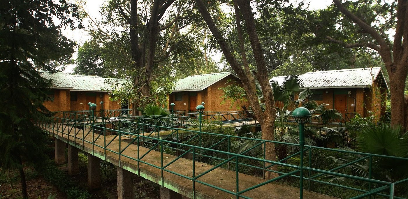 MPT WHITE TIGER FOREST LODGE (Tala) - отзывы, фото и сравнение цен ...