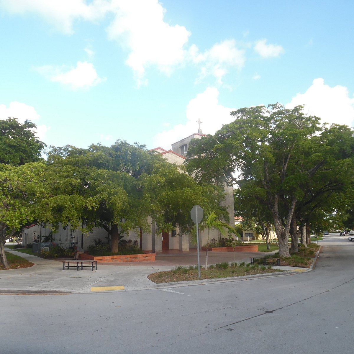 My Image 7