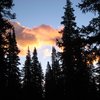 ColoradoBFL