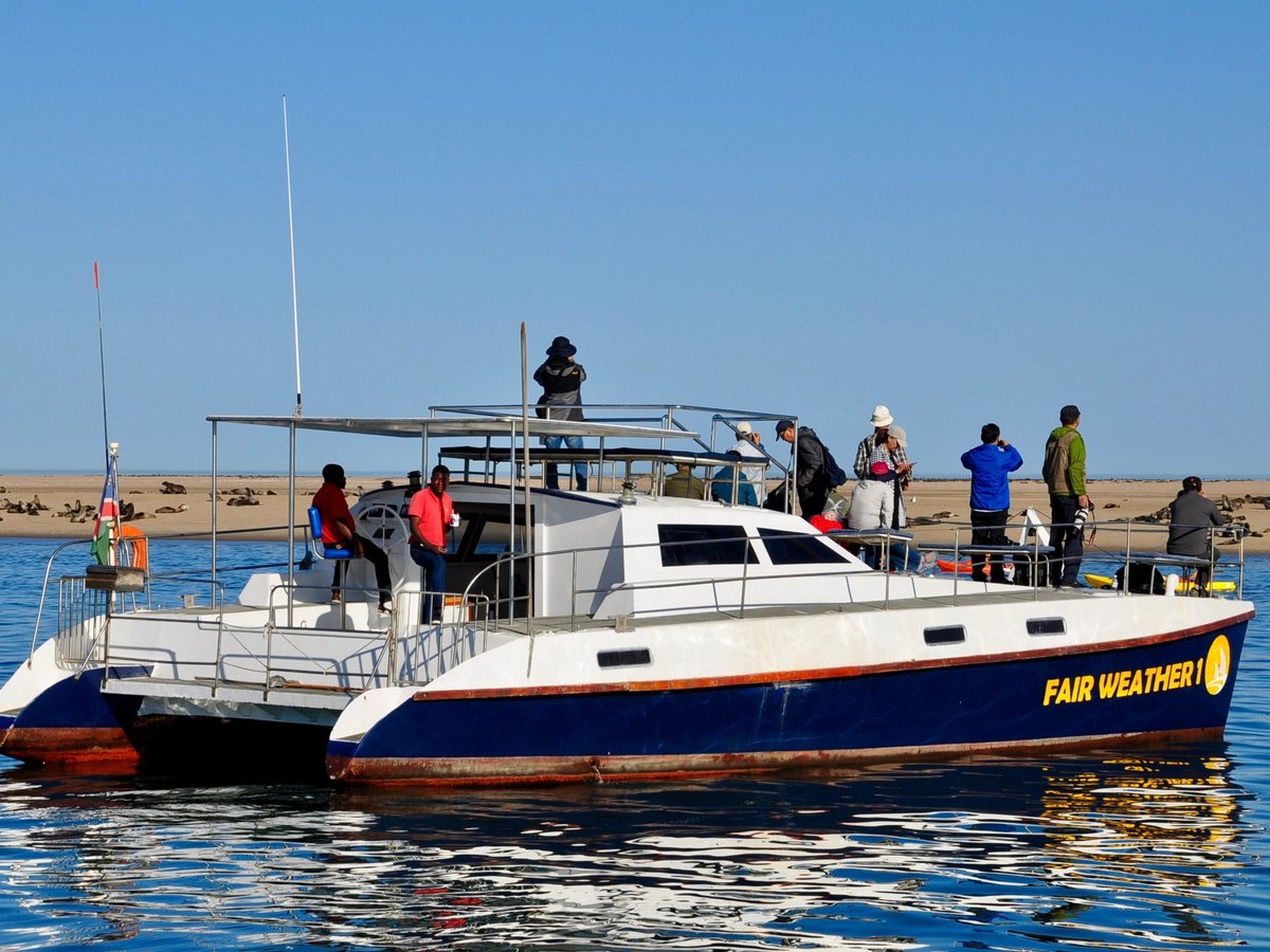 catamaran dolphin cruise walvis bay