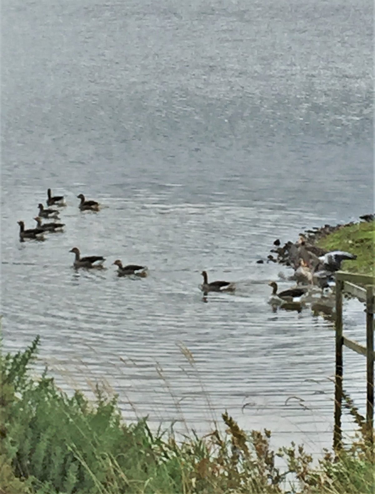 Branton Lakes Nature Reserve (Powburn) - All You Need to Know BEFORE You Go