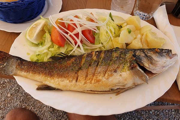 Gamberoni in pasta fillo - Picture of Just Fish Ibiza - Tripadvisor