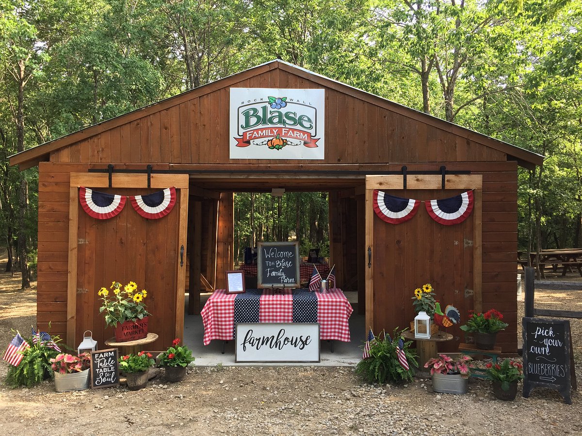 Organic Apple Orchards - Forks in the Dirt Finding your fall family outing