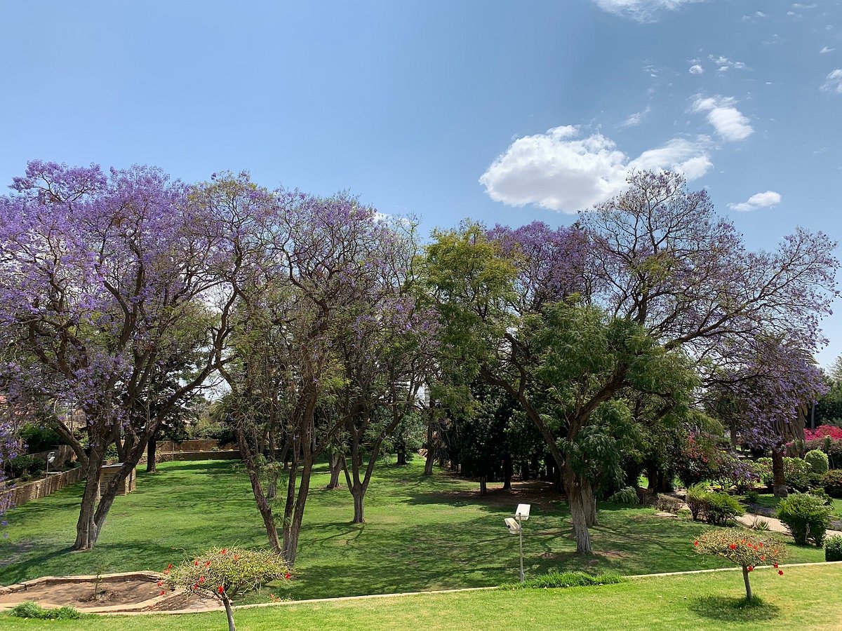 Parliament Gardens in Windhoek