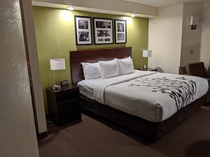 SLEEP INN WESLEY CHAPEL - TAMPA NORTH $108 ($̶1̶3̶2̶) - Prices & Motel  Reviews - FL
