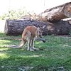 kingnothing62