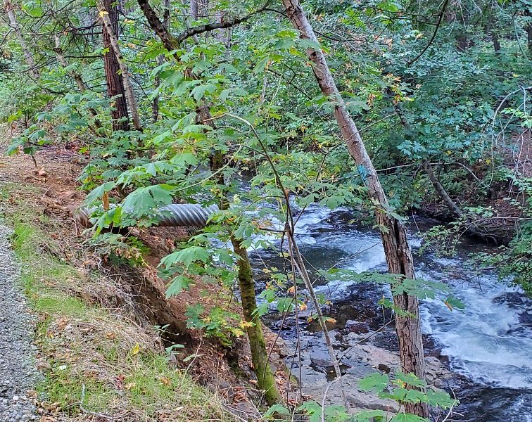 Wolf Creek Trail image