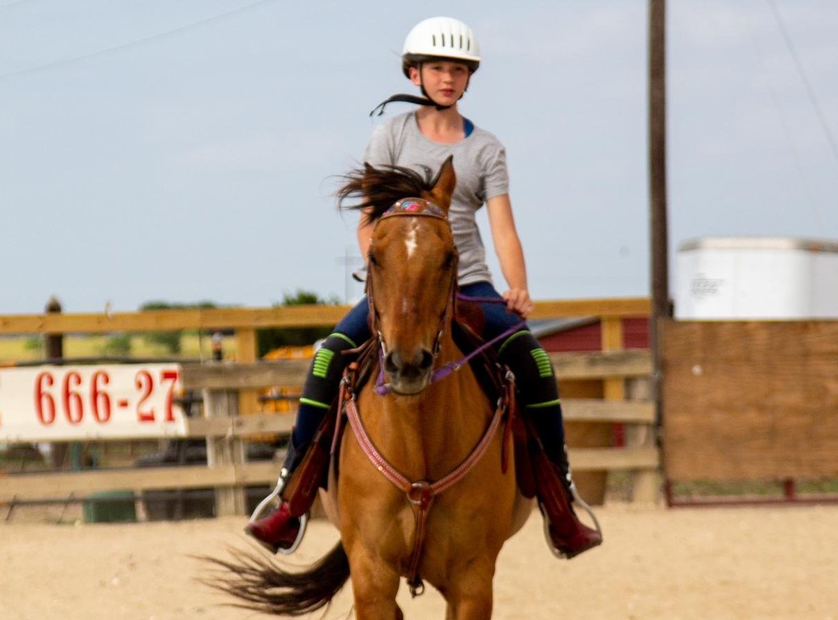 Heart of Texas Equestrian Academy - Valley Mills - Heart of Texas Equestrian Academy의 리뷰 - 트립어드바이저