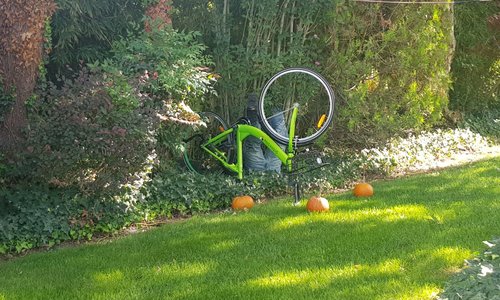 Pumpkin patch, il giardino delle zucche