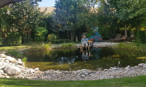 Pumpkin patch, il giardino delle zucche