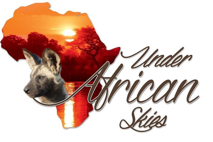 Under African Skies image