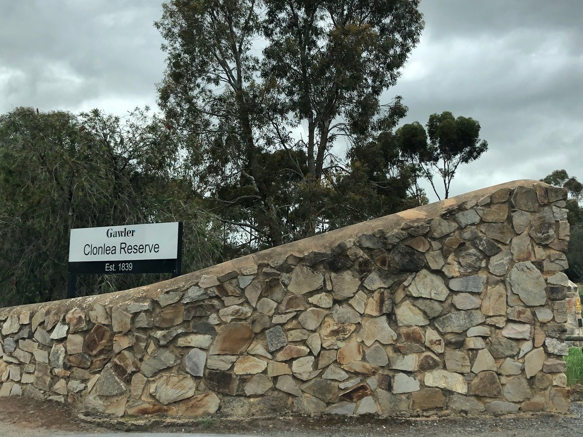 GAWLER SKATE PARK (2024) All You Need to Know BEFORE You Go (with Photos)