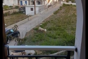 Θέα από το δωμάτιο