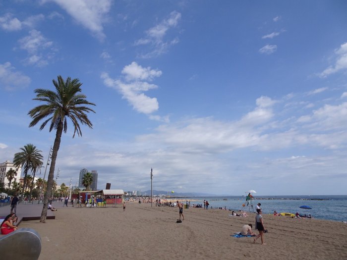 Imagen 18 de Barcelona Beach