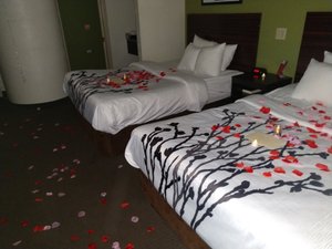 Quarto e suíte