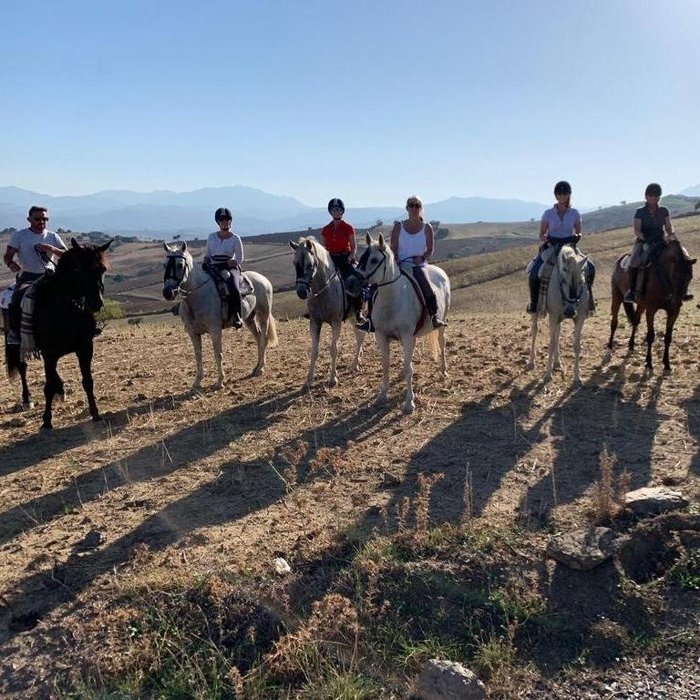 Imagen 1 de Cortijo el Chenil Caballos