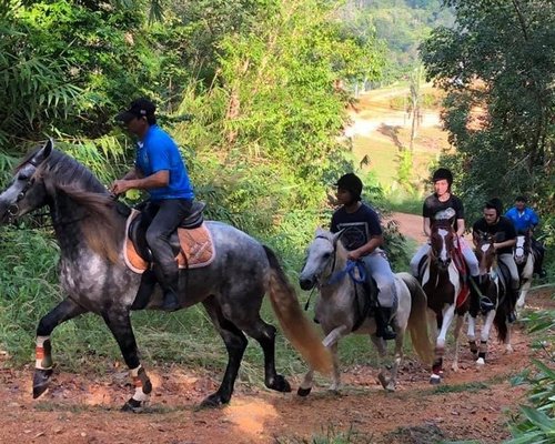 THE 5 BEST Phuket Horseback Riding Tours (Updated 2023)