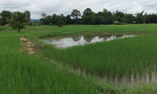 Mahachai country side.  Something special to explore. The other nice part off Thailand.