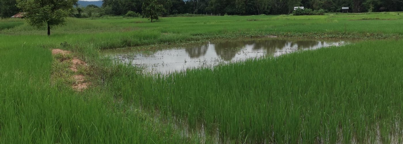 Mahachai country side.  Something special to explore. The other nice part off Thailand.