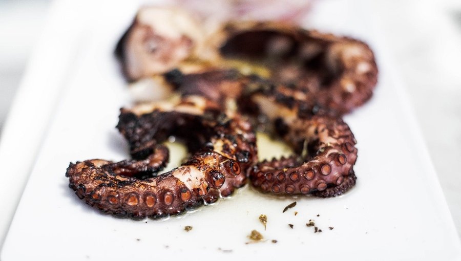 Octopus.