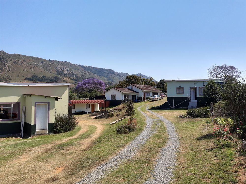 AFRICAN VIOLET - Prices & Hostel Reviews (Eswatini (Swaziland)/Mbabane)