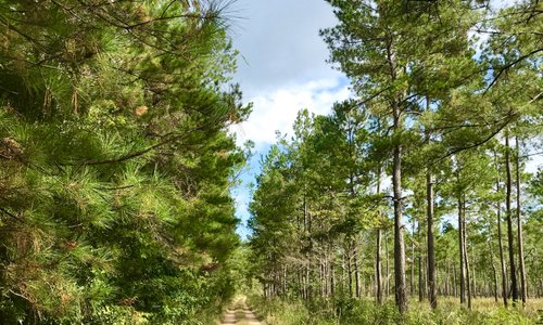 Huger sc 2022 best places to visit tripadvisor