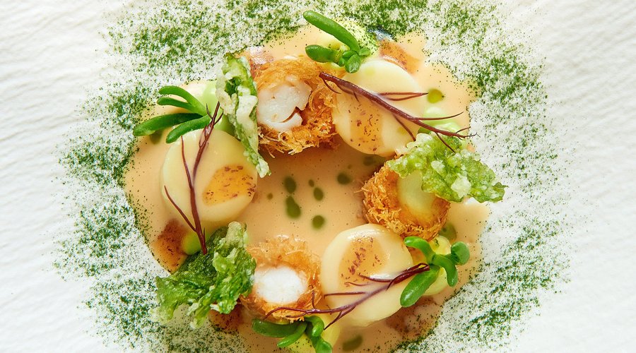 Langoustine / Aardappel / Zeewieren