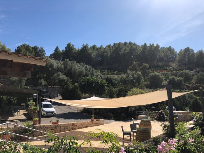 Imagen 8 de Bodega Castell Miquel