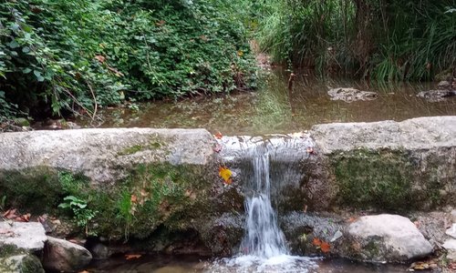 Pequeña presa