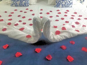 Quarto e suite