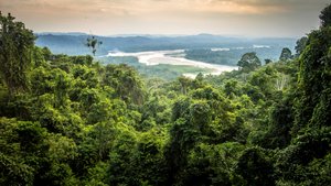 Gaia Amazon EcoLodge in Ahuano