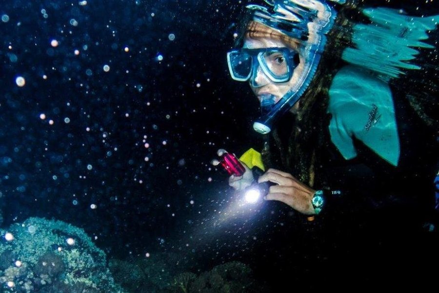 Night Snorkeling Adventure /Mauritius image