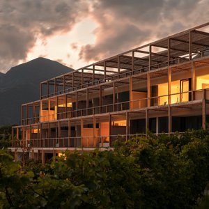 Live in the vineyards