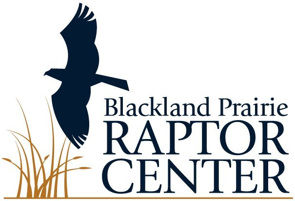 Blackland Prairie Raptor Center - All You Need to Know BEFORE You Go (2024)